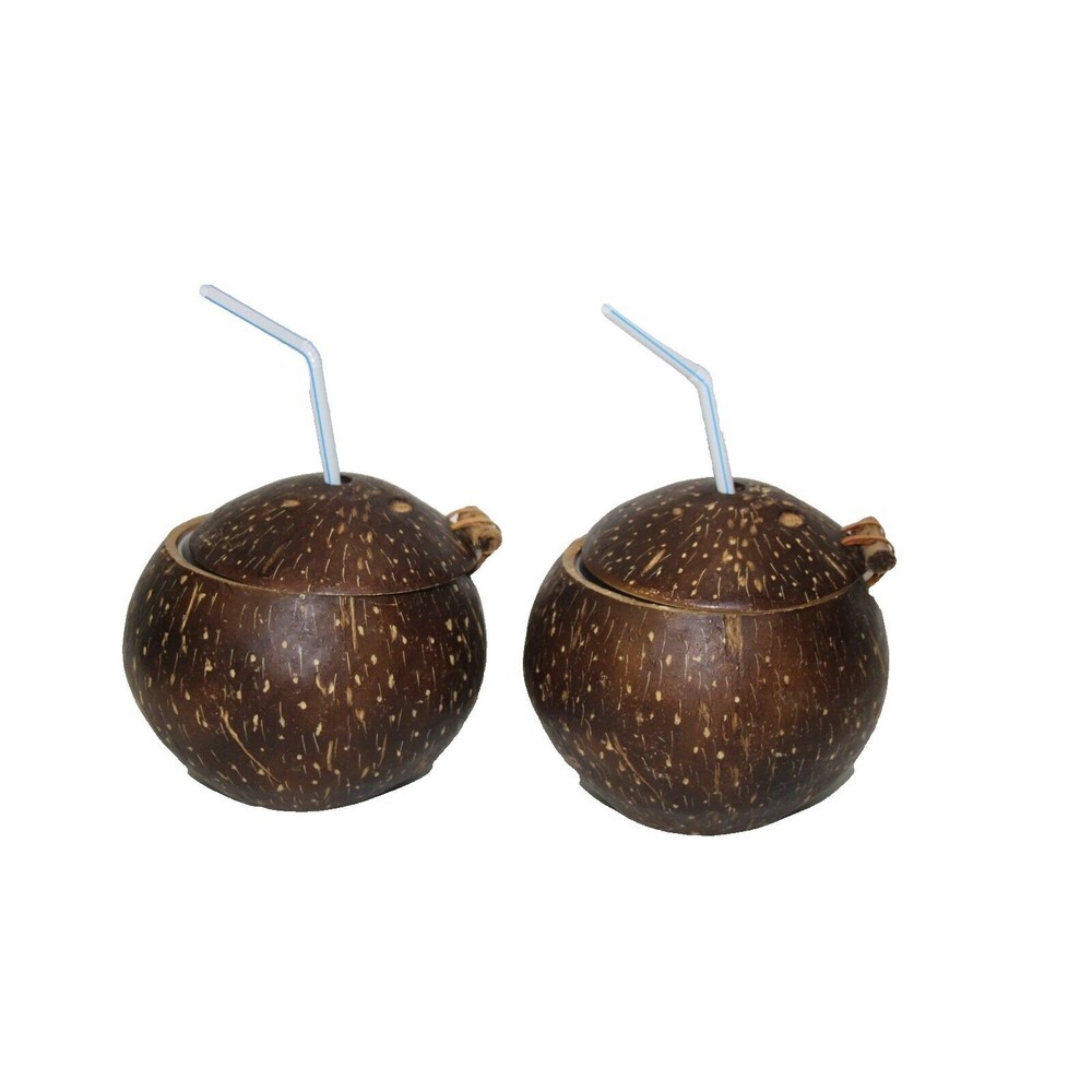 Coconut Drinkware Cup Luau Tiki Bar with Lid Removable Liner Retro 5"x4" Lot 2